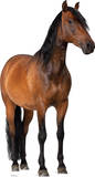 Buy Horse Lifesize Standup Poster at AllPosters.com