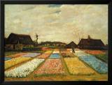 Flower Beds in Holland, c.1883 Framed Art Print