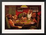 Bold Bluff