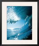 Blue Curl
