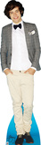 Harry - 1 Direction Lifesize Standup Poster