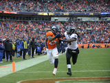 NFL Playoffs 2013: Ravens vs Broncos - Knowshon Moreno
