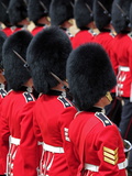 Soldiers at Trooping Colour 2012, Queen's Official Birthday Parade, Horse Guards, London, England