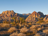Red Rock Canyon Outside Las Vegas, Nevada, United States of America, North America