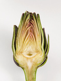 Half Artichoke, Italy, Europe