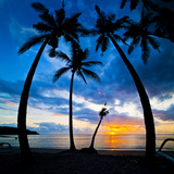 Silhouette of Palm Trees at Sunset, Nippah Beach, Lombok, Indonesia, Southeast Asia, Asia