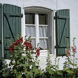 Typical Scene of Shuttered Windows and Hollyhocks, St. Martin, Ile de Re, Poitou-Charentes, France