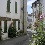 Typical Street Scene with Hollyhocks, St. Martin, Ile de Re, Poitou-Charentes, France, Europe