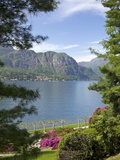 Gardens of Villa Melzi, Bellagio, Lake Como, Lombardy, Italian Lakes, Italy, Europe