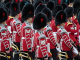 Soldiers at Trooping Colour 2012, Queen's Birthday Parade, Horse Guards, Whitehall, London, England
