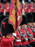Soldiers at Trooping Colour 2012, Queen's Birthday Parade, Horse Guards, Whitehall, London, England