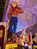 The Freemont Street Experience in Downtown Las Vegas, Las Vegas, Nevada, USA, North America