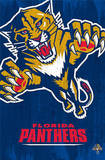 Florida Panthers - Logo