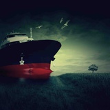 The Boat