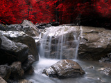 Red Vision Photographic Print