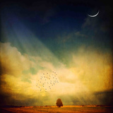 Echo of a Sigh