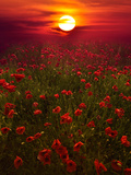 Warm Sunset Photographic Print