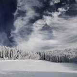 Snowy Sky