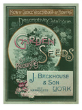 Garden Seeds and Requisites Giclee Print