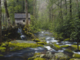 Watermill in Forest by Stream, Roaring Fork, Great Smoky Mountains National Park, Tennessee, USA