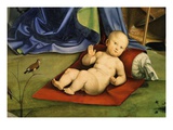 The Christ Child, from Pala Bentivoglio (The Bentivoglio Altarpiece) (Detail)