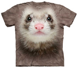 Ferret Face