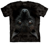 Bat Head