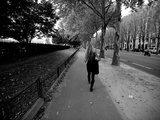 A Woman Walks in a Tree Lined Street in Paris