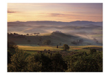 Dawn Mist Rising