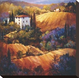 Evening Glow Tuscany