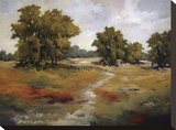 Peaceful Retreat II