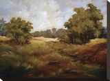 Peaceful Retreat I