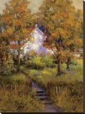 Rural Vista IV