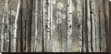 Buy Silver Lining at AllPosters.com