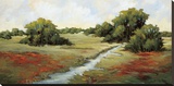 Kissimmee Grasslands