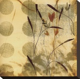 Playful Meadow II
