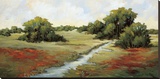 Kissimmee Grasslands