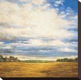 Tranquil Meadow