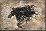 Black Beauty