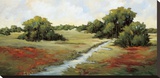 Kissimmee Grasslands