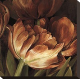 Color Harmony II