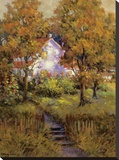 Rural Vista IV