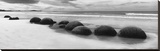 Moeraki Boulders Panorama Stretched Canvas Print