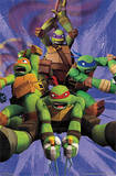 Teenage Mutant Ninja Turtles TMNT - Team