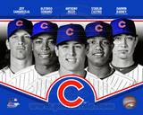 Chicago Cubs 2013 Team Composite