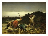 La Récolte De Pommes De Terre Pendant L'Inondation Du Rhin En 1852