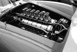 Ferrari Engine