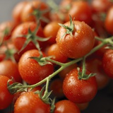Fresh Cocktail Tomatoes Sprinkled with Water