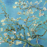 Almond Branches in Bloom, San Remy, c.1890