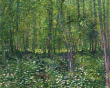 Trees and Undergrowth, c.1887